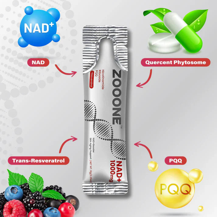 ZOOONE NR1000 - NAD+ Berry Flavor Drink Mix for Skin Aging Support, Energy, and Focus - 30 Pack