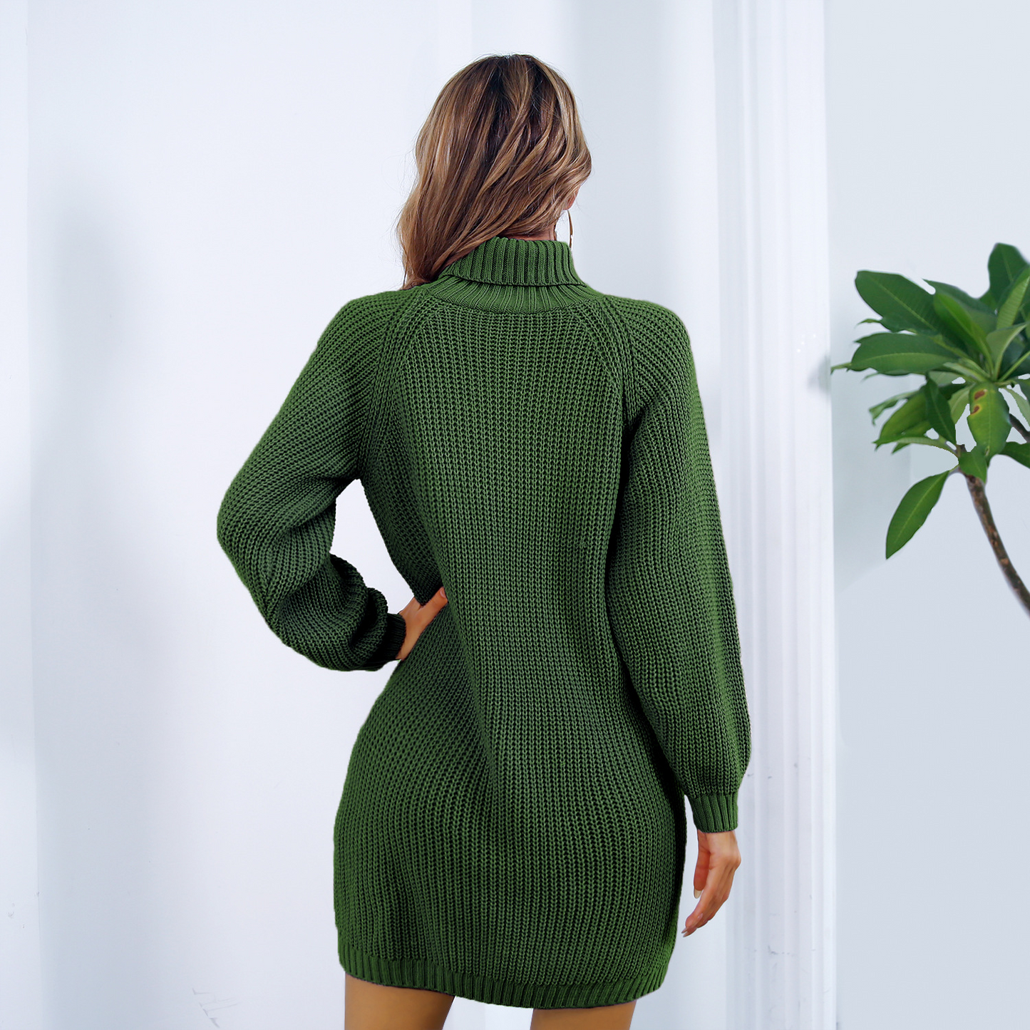 Veronica™ - Long Sleeve Turtleneck Sweater Dress